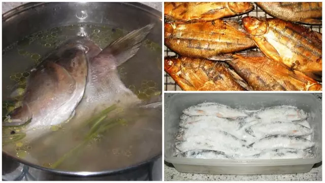Лентец широкий: как сделать полезные настойки и настои