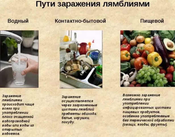Можно ли избежать заражения лямблиями? Профилактика инфекции