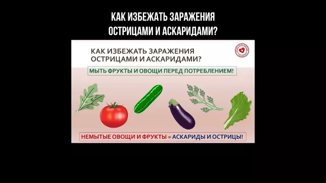 Основные признаки заражения аскаридами: как их распознать