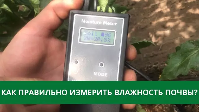 Повышенная влажность почвы.