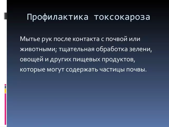 Профилактика токсокароза: основные меры безопасности